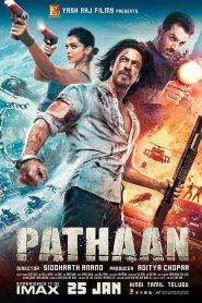 Pathaan (2023) Hindi