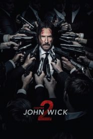 John Wick: Chapter 2 (2017) Hindi Dubbed HD