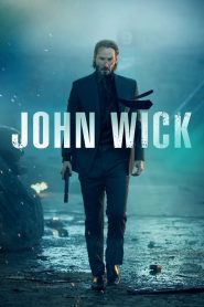 John Wick (2014) Hindi Dubbed HD