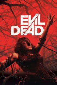 Evil Dead (2013) Hindi Dubbed HD