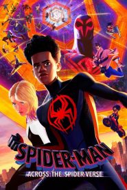Spider-Man: Across the Spider-Verse (2023) Hindi Dubbed HD