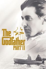The Godfather Part II (1974) Hindi Dubbed HD