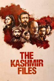 The Kashmir Files (2022) Hindi Dubbed HD