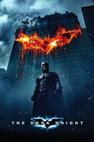 The Dark Knight (2008) Hindi Dubbed