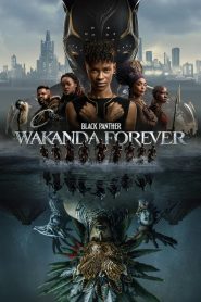 Black Panther: Wakanda Forever (2022) Hindi Dubbed HD