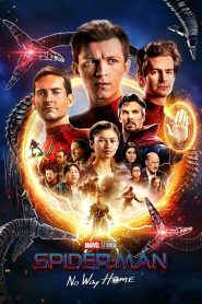 Spider-Man: No Way Home (2021) Hindi Dubbed HD