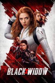 Black Widow (2021) Hindi Dubbed HD
