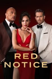 Red Notice (2021) Hindi Dubbed HD