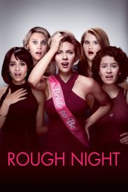 Rough Night (2017) Hindi Dubbed HD
