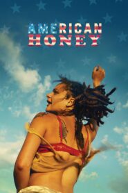 American Honey (2016) Hindi Dubbed