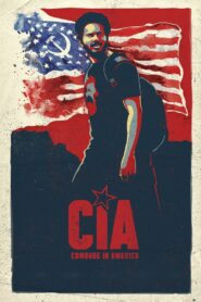CIA: Comrade In America (2017) HQ Hindi Dubbed