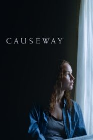 Causeway (2022) Hindi Dubbed