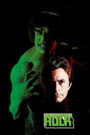 The Incredible Hulk (1977) Hindi Dubbed