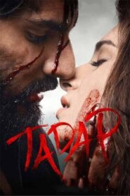 Tadap (2021) Hindi