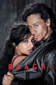 Baaghi (2016) Hindi