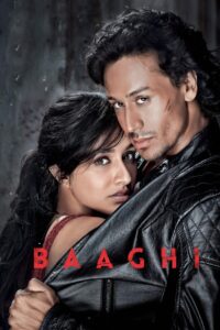 Baaghi (2016) Hindi