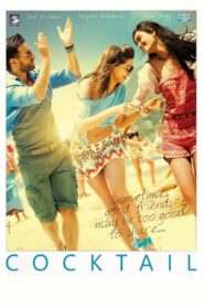 Cocktail (2012) Hindi