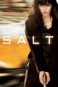 Salt (2010) Hindi Dubbed