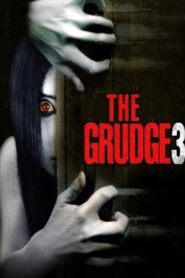 The Grudge 3 (2009) Hindi Dubbed