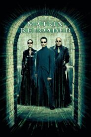 The Matrix Reloaded (2003) Hindi Dubbed