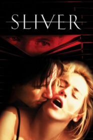 Sliver (1993) Hindi Dubbed