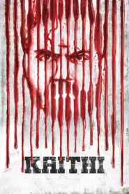 Kaithi (2019) Hindi Dubbed