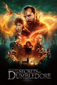 Fantastic Beasts: The Secrets of Dumbledore (2022) Hindi Dubbed