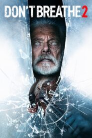 Don’t Breathe 2 (2021) Hindi Dubbed