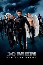 X-Men: The Last Stand (2006) Hindi Dubbed