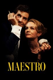 Maestro (2023) Hindi Dubbed