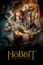 The Hobbit: The Desolation of Smaug (2013) Hindi Dubbed