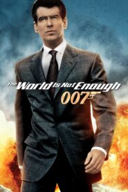 The World Is Not Enough (1999) Hindi Dubbed