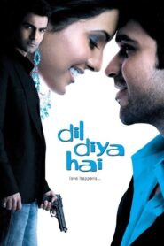 Dil Diya Hai (2006) Hindi
