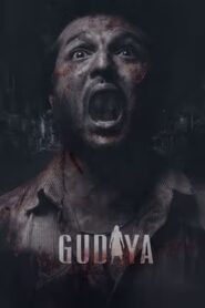 Gudiya (2023) Panjabi HD