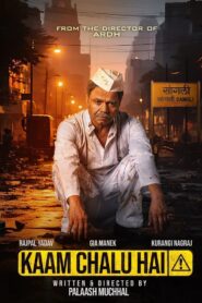 Kaam Chalu Hai (2024) Hindi
