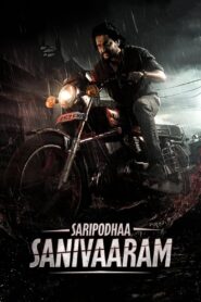 Saripodhaa Sanivaaram (2024) Hindi HD