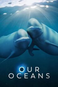 Our Oceans (2024) Hindi Season 1 Complete Netflix