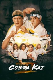 Cobra Kai (2024) Hindi Season 6 Complete Netflix