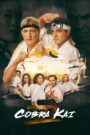 Cobra Kai (2024) Hindi Season 6 Complete Netflix