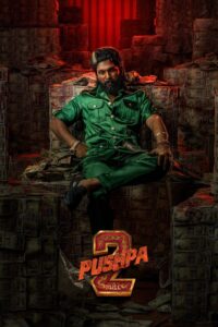 Pushpa 2 – The Rule (2024) Hindi Dubbed