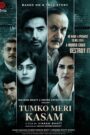 Tumko Meri Kasam (2025) Hindi HDTS