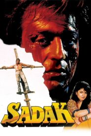 Sadak (1991) Hindi HD
